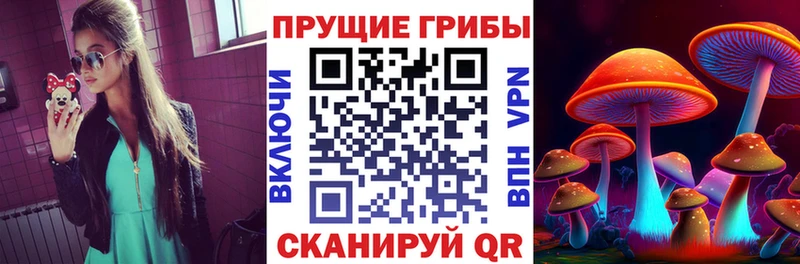 Галлюциногенные грибы прущие грибы купить Касли
